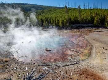 Steam rises from blue-colored pool with red edges in front of hills covered in pine forest