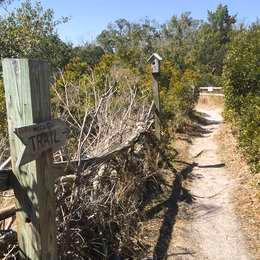 Trail sign pointing where the nature trail goes.