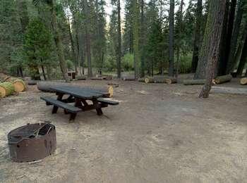 A campsite in a primitive campground