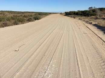 View straight down the Inside Road as the sandy route leads up to the horizon, with scrub thicket on both sides and the dunes to the right.