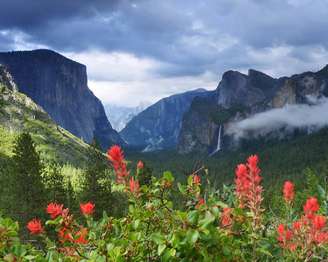 Bright orange wildflowers are at the foreground of a scenic view of Yosemite Valley, with El Capitan to the left of the valley, and Bridalveil Fall to the right.
