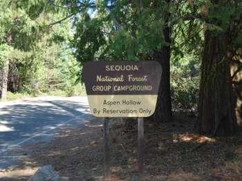A brown and yellow road sign that indicates where a campground is located in a forested area.