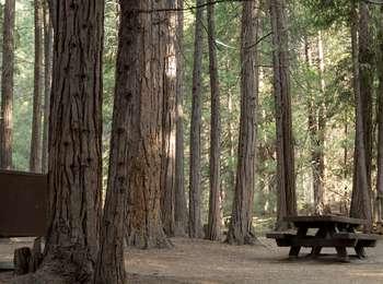 Hume Lake Campground U.S. National Park Service