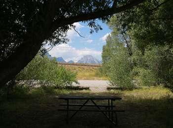 View from one of the picnic tables looking through the cottonwood trees toward Mount Moran.