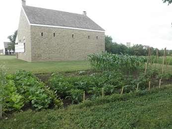 hospital garden