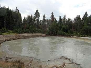 A cloudy muddy pool of water bubbles and is surrounded by pine trees