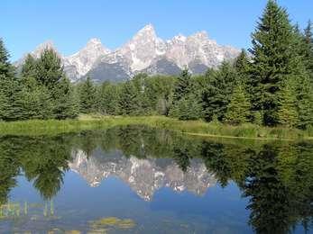 Reflection view at Schwabachers Landing with conifers surrounding quiet water and the central Teton Range in the background.