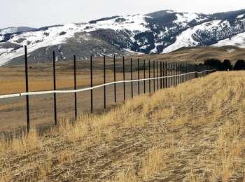 White tubing marks the middle of a tall fence enclosing rows of grass
