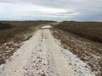 The shell and sand path leads toward to the horizon, where the path disappears into the dunes that separate the marshy lands around the path from the Atlantic Ocean.