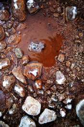 Bubbles rise up to the surface of a small puddle of water.