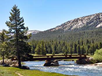 A bridge crosses over a river that flows through a meadow.