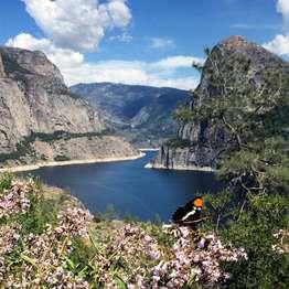 A butterfly is perched on a pink wild flowers in the foreground. A large body of water snakes through a valley with high granite cliff walls.