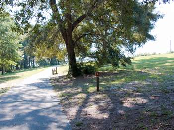 A cement sidewalk cuts through a grassy field with green trees. A brown metal sign with the number,
