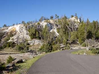 A paved drive curves around a travertine terrace covered in trees
