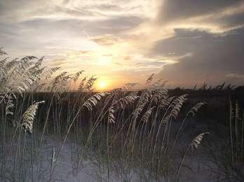 Sunset lighting up the sky with sea oats in the foreground.