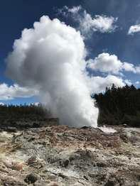 Steam plume leaving the orangish-brown rock base of Steamboat Geyser