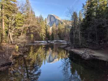A rock formation that resembles a halved-dome, reflects in a river that is lined with pine trees.