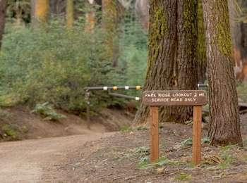 A wooden sign labels a dirt road as a service road.