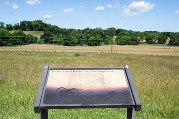 Wayside in front of tall grass and trees. 