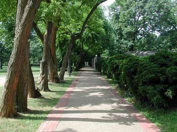 A long, straight walkway is bordered by a row of overhanging trees and a line of boxwoods.