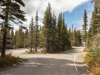 A road branches into a small parking area, surrounded by tall trees.