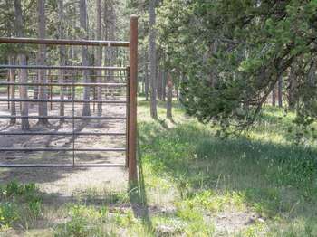 Trees marked with orange flags mark the trail through an open conifer forest near a corral.