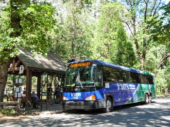 A blue and green bus reads, 