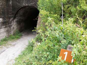 A concrete tunnel is barely higher than an average person's height