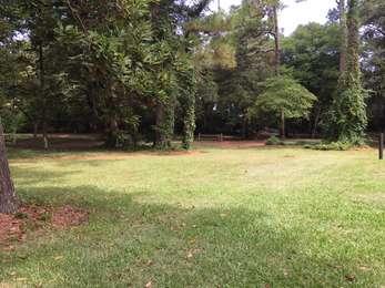 Location of Gans Workshop in grassy clearing