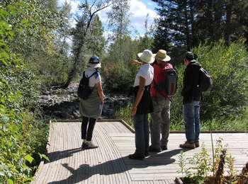 Four visitors standing on the wooden platform overlook on Lake Creek.