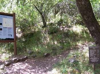 Signs on a trail in a densely forested area.