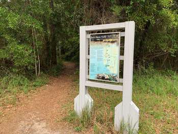 An earthen trail leads into the forest beside an orientation panel.