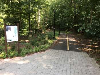 A paved bicycle path leads into a forested area