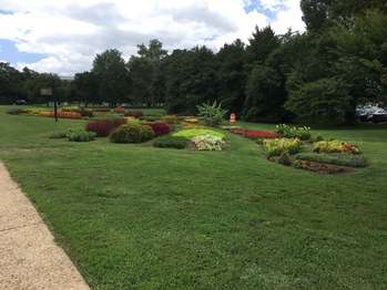 An open grassy area with several patches of colorful flower gardens