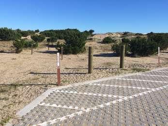 End of the parking lot, with brown posts marking the pedestrian trail that heads off through the shrub thicket.