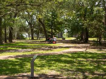 People sitting at a picnic table. Other picnic tables are scattered around them on green grass. Green trees hang overhead.