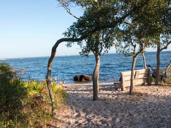 Wooden bench underneath trees overlooking blue water and sky.