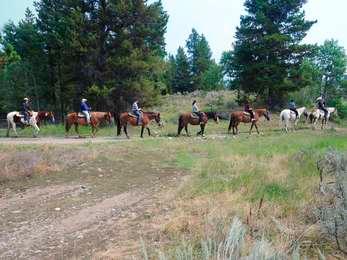 Visitors on a horseback ride from the Jackson Lake Lodge being lead by a wrangler.
