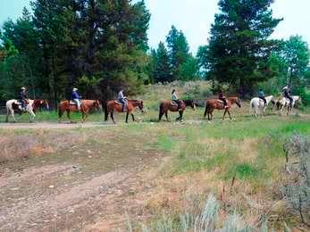 Visitors on a horseback ride from the Jackson Lake Lodge being lead by a wrangler.
