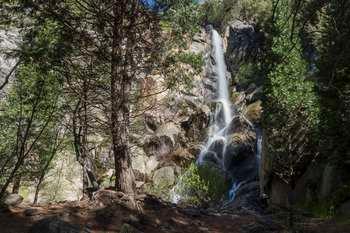 A waterfall and trees