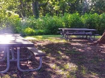 Picnic Area