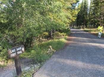 Colter Bay paved lakeshore trail with trees shading the path