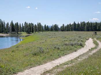 A bare ground trail crosses a meadow near a small lake and heads toward the woods.