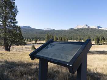 A wayside exhibit stands along a dirt trail that leads around the outskirts of a meadow.