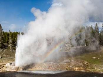 A rainbow beneath the steam from a geyser eruption