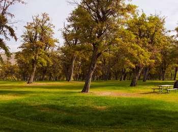 Rural park with grass meadow, numerous trees, picnic tables, and other structures