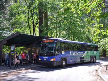 A blue bus with a side that reads, 