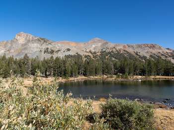 A meadow surrounds a small lake. A few mountain peaks rise up above the nearby treeline.