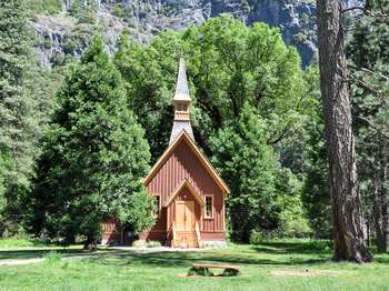 An orange structure with a pointed roof and steeple rest among dense, vibrant green foliage.