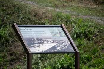 Close-up of wayside.